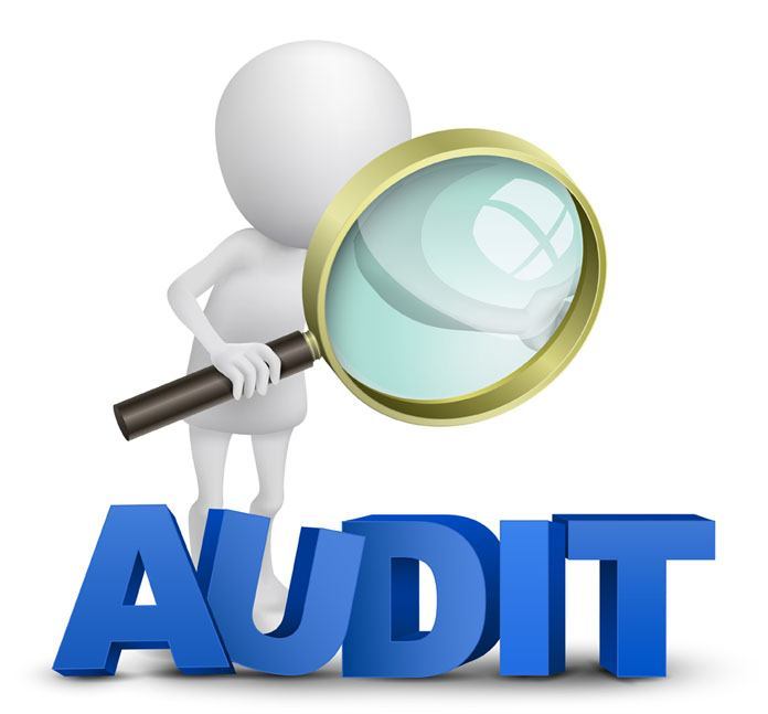 reputation audit