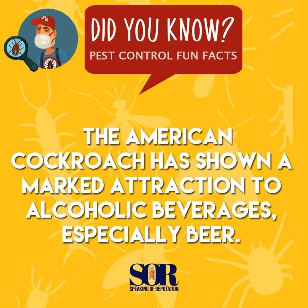 Did You Know American Cockroaches Meme